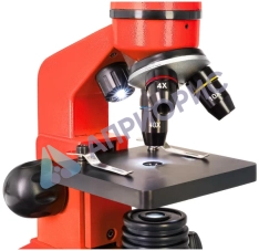 Микроскоп Levenhuk Rainbow 2L Orange (Апельсин)